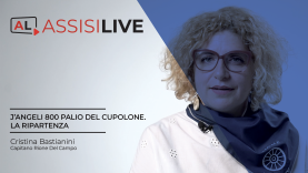 copertine-video-interviste