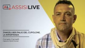 copertine-video-interviste